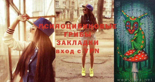 стаф Абинск
