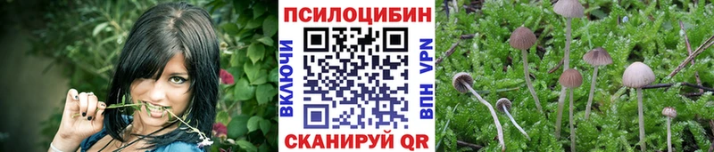 mega онион  Иннополис  Псилоцибиновые грибы Cubensis 